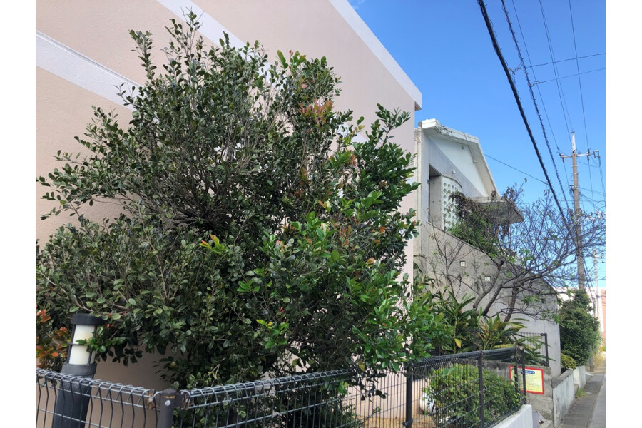 1K Apartment, Japan — image 11