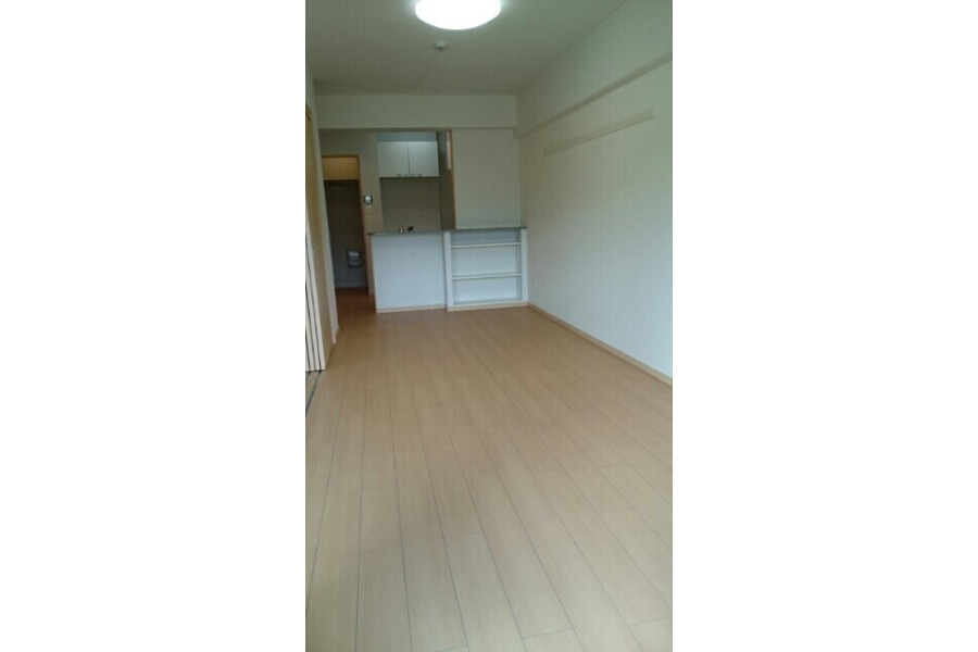 1LDK Apartment, Japan — image 2