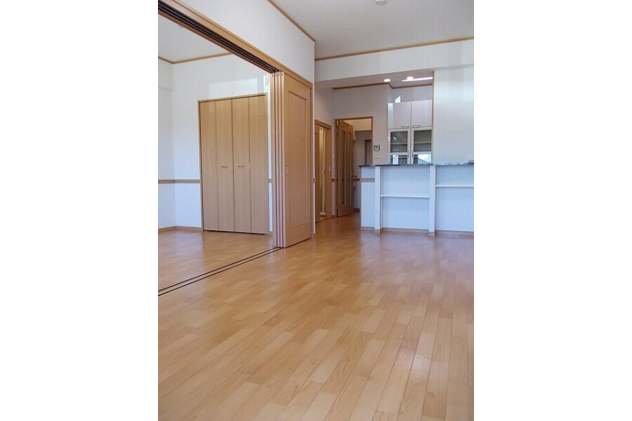 1LDK Apartment, Japan — image 3