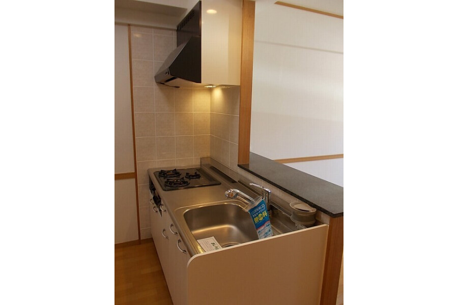 1LDK Apartment, Japan — image 4