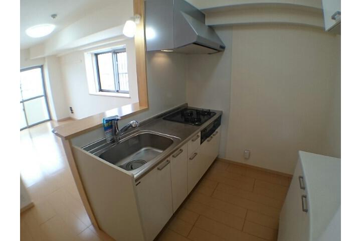 1DK Apartment, Japan — image 6
