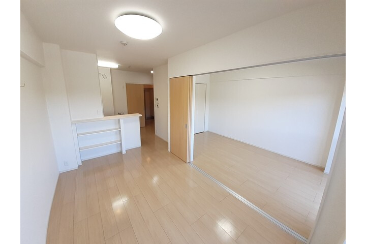 1LDK Apartment, Japan — image 2