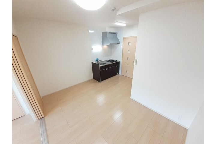 1LDK Apartment, Japan — image 4