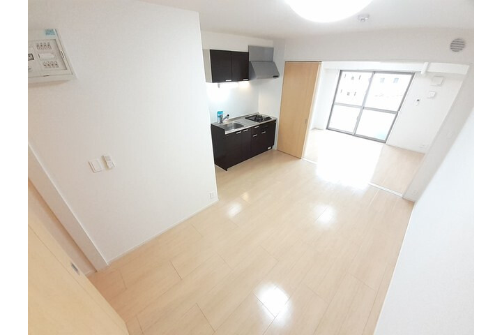 1LDK Apartment, Japan — image 2