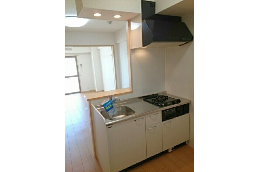 1DK Apartment, Japan — image 6