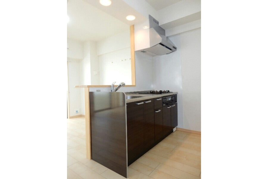 1LDK Apartment, Japan — image 6