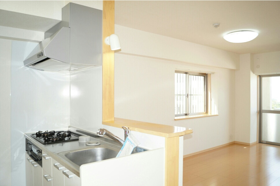 1LDK Apartment, Japan — image 5