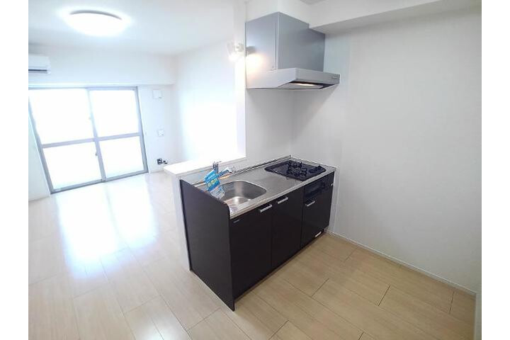 1R Apartment, Japan — image 7