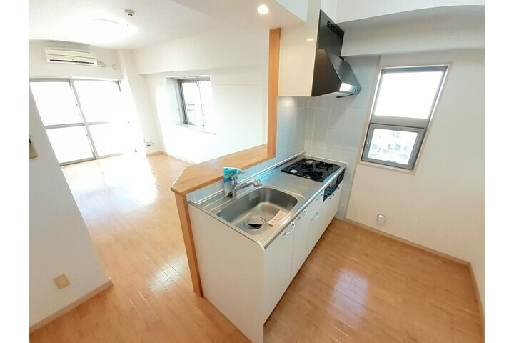 1LDK Apartment, Japan — image 8