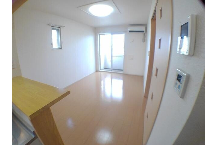 1LDK Apartment, Japan — image 4