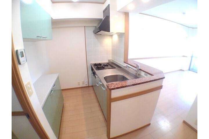 1LDK Apartment, Japan — image 6