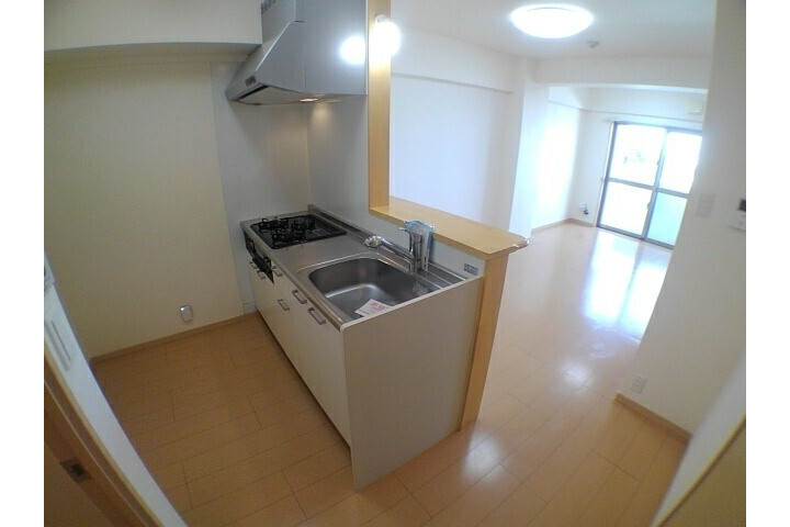 1LDK Apartment, Japan — image 6