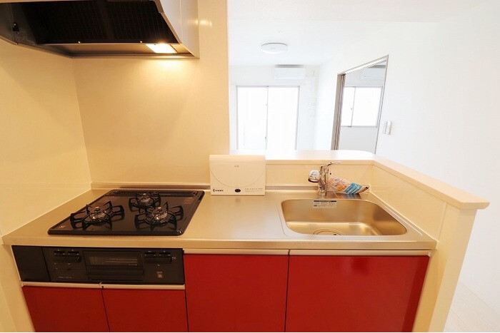1LDK Apartment, Japan — image 6